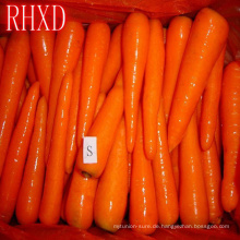 frischer Karottenpreis 2018 Marktpreis für frische Karotte